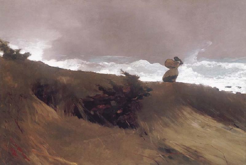 Winslow Homer The West Wind oil painting image